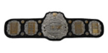 a wrestling championship belt with a gold and silver medallion on a white background .