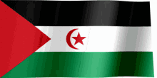 flag waving flag western sahara
