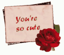 youre so cute valentine card happy valentines day hearts be mine