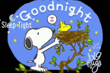 Goodnight With GIF - Goodnight With Love GIFs