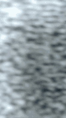 Black And White Rolling GIF - Black And White Rolling View GIFs