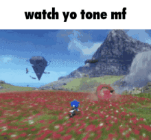 Sonic Frontiers Sonic Meme GIF - Sonic Frontiers Sonic Meme Watch Yo Tone GIFs