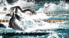 Olympics Swimming GIF - Olympics Swimming GIFs