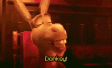 Donkey Donkey In Shrek GIF - Donkey Donkey In Shrek Happy GIFs