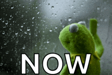 a kermit the frog is looking out a window with the word now below him