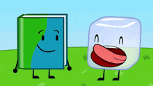 a book and an ice cube standing next to each other