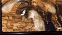 a close up of a tv screen with a painting of a goat on it .