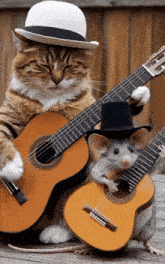 GIF