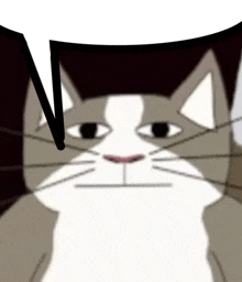 Cat Expressionless GIF - Cat Expressionless Blank Face GIFs