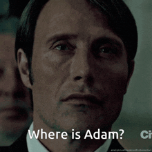 Adam Where Is Adam GIF