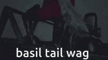 a black and white photo of a person with the words basil tail wag