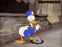 Sweep Supducks GIF