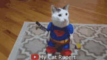 Super Cat Super Hero GIF - Super Cat Super Hero Halloween GIFs