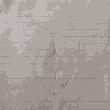 a black and white drawing of a leaf on a piece of paper