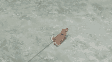 Anime Dog GIF - Anime Dog Security Dog GIFs