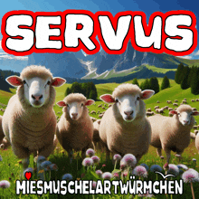 Servus Moin GIF - Servus Moin GIFs