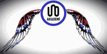 Uno Akademi GIF - Uno Akademi Unovolleyball GIFs