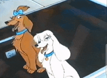 Girl Dogs Oliver And Company GIF - Girl Dogs Oliver And Company GIFs