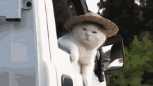 Cat Lazy GIF - Cat Lazy Cant GIFs