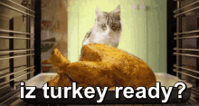 Thanksgiving Turkey GIF - Thanksgiving Turkey Waiting For Dinner GIFs