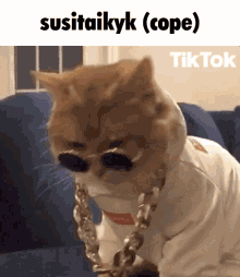 Cope Susitaikyk GIF