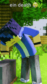 a minecraft character with the word ein death on the bottom right