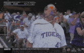 a man wearing a tigers jersey stands in the stands