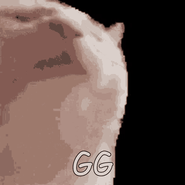 Gg Meme GIF - Gg Meme Dank GIFs