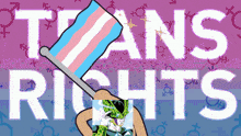a cartoon of a person holding a flag with the words trans rights behind them