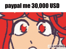 a cartoon of a girl with red hair and the words paypal me 30,000 usd below her