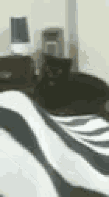Cat Crazy GIF - Cat Crazy Bed GIFs