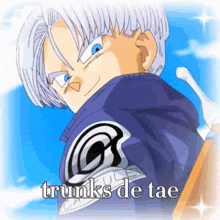 a picture of trunks de tae with a blue sky in the background