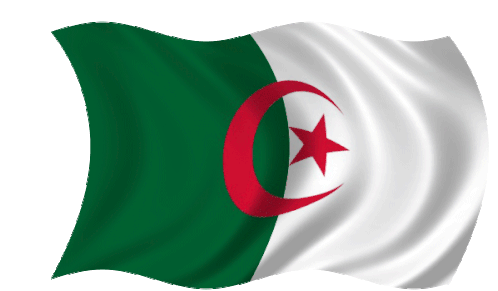 الجزائر Flag Of Algeria Sticker - الجزائر Flag Of Algeria Algeria Stickers