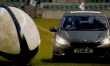 cars rugby