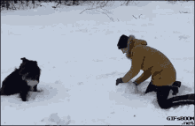 animals laugh funny snow destroy