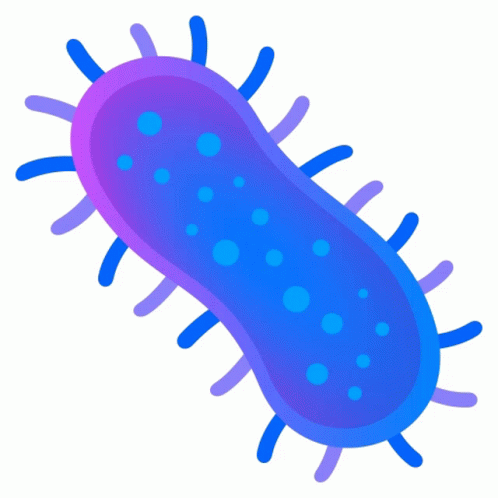 Microbe Objects Sticker - Microbe Objects Joypixels - Discover & Share GIFs