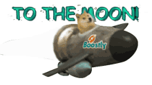 dogecoinboostly tothemoon