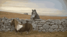 Pony Horse GIF - Pony Horse Moonwalk GIFs