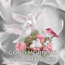 Good Morning Birds GIF - Good Morning Birds Family GIFs