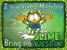 Slime Tuesday Garfield GIF - Slime Tuesday Slime Tuesday GIFs