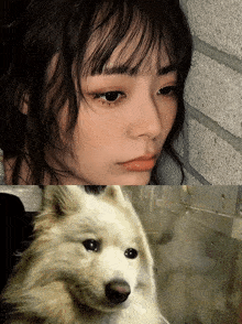 a close up of a woman 's face next to a close up of a dog 's face