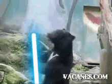 Again! This Time With A Light Saber! GIF