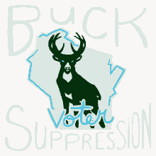 suppression voting