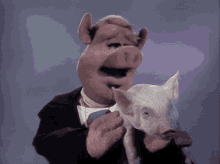 muppets muppet show pig piglet link hogthrob