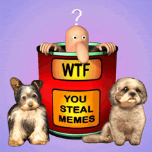 two dogs are sitting next to a can that says wtf