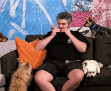 h3 h3h3 h3podcast dogs h3 ethan klein