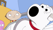 Family Guy Stewie Family Guy GIF - Family Guy Stewie Family Guy Stewie GIFs