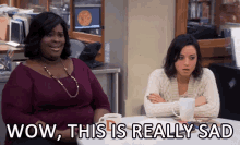 Wow, This Is Really Sad GIF - Wow This Is Really Sad Parks And Recreation GIFs
