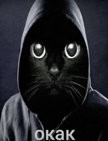 a black cat wearing a hooded sweatshirt with the word okak on the bottom