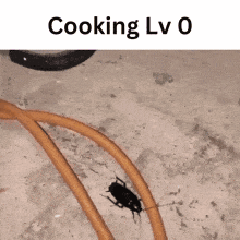 a picture of a cockroach next to a cooking lv 0 sign